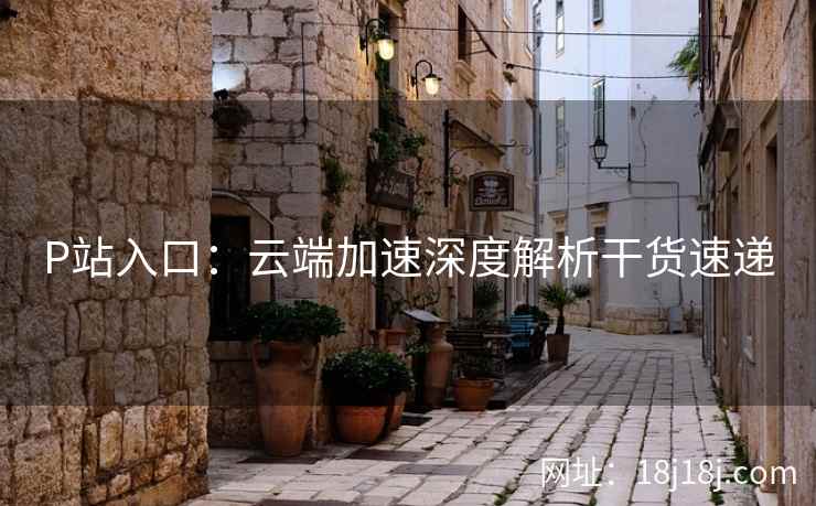 P站入口：云端加速深度解析干货速递