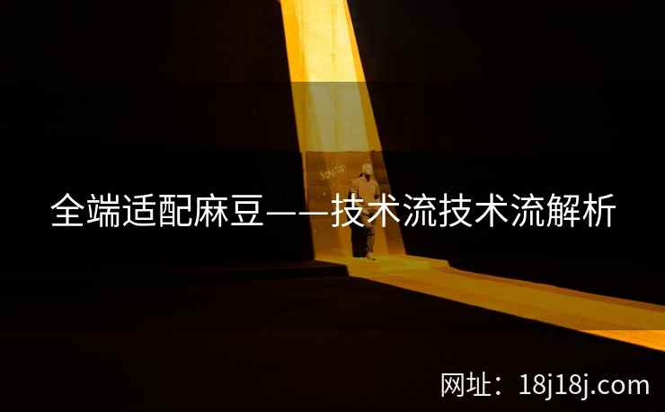 全端适配麻豆——技术流技术流解析