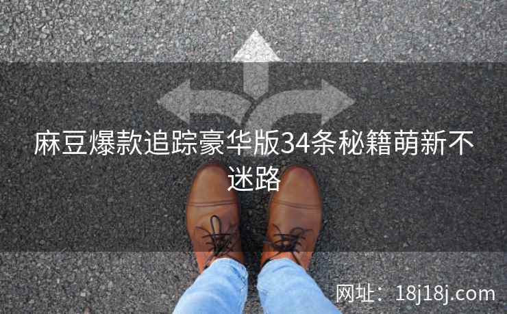 麻豆爆款追踪豪华版34条秘籍萌新不迷路
