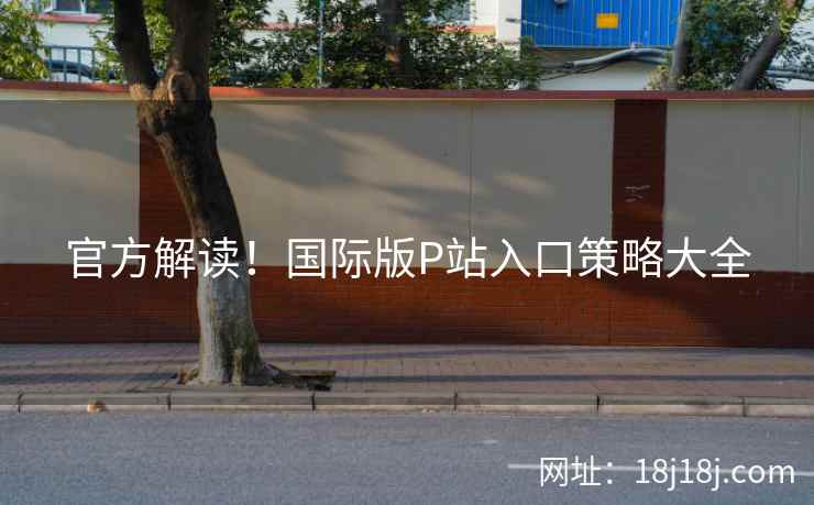官方解读！国际版P站入口策略大全