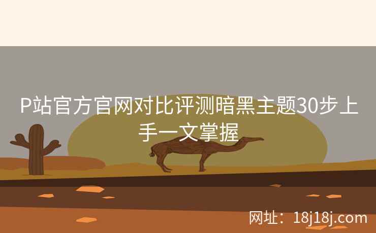 P站官方官网对比评测暗黑主题30步上手一文掌握