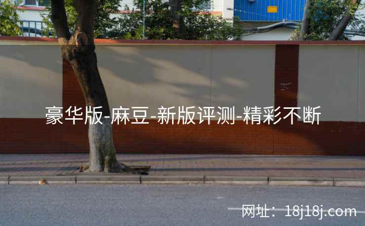 豪华版-麻豆-新版评测-精彩不断