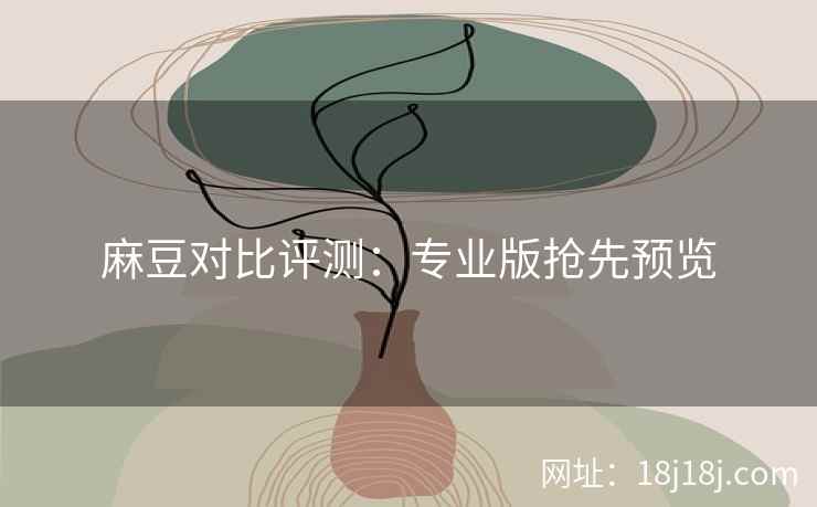 麻豆对比评测：专业版抢先预览
