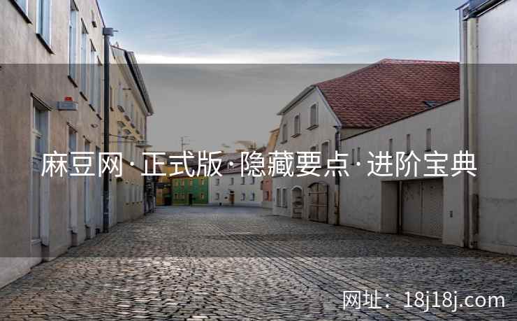 麻豆网·正式版·隐藏要点·进阶宝典
